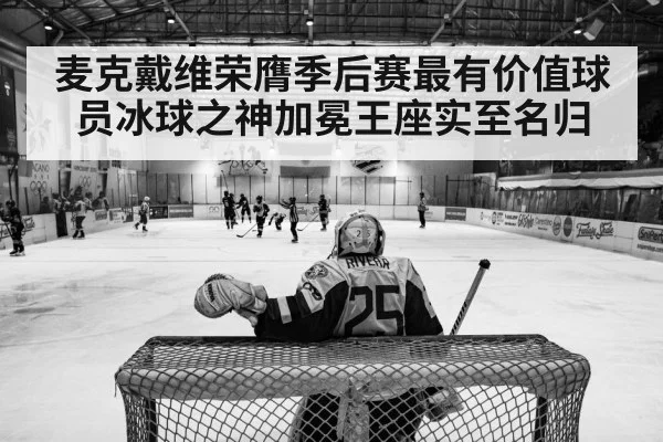 麦克戴维荣膺季后赛最有价值球员冰球之神加冕王座实至名归
