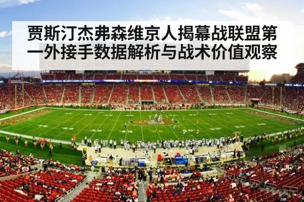 NFL football stadium game action